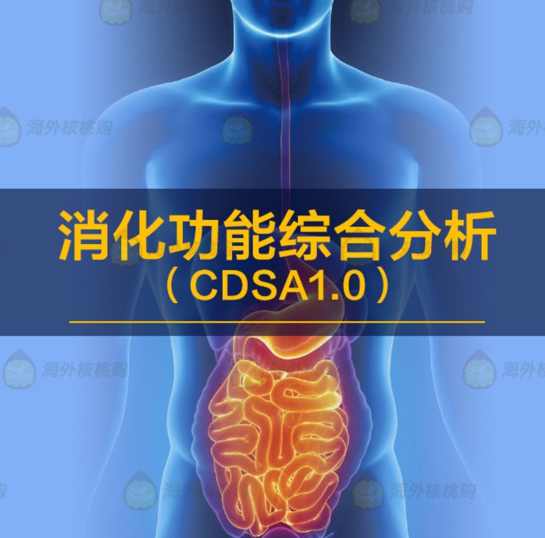 消化功能综合分析（CDSA1.0）