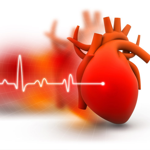 心脑血管专项深度健检