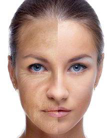 干细胞抗衰调养